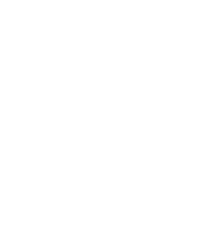 DELORTO
