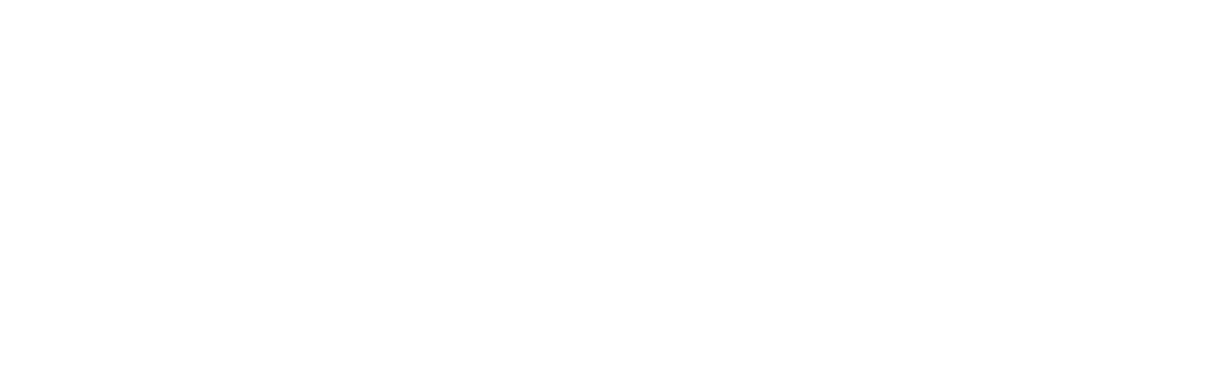 LUDIERI